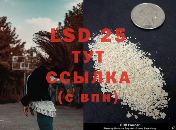 apvp Белокуриха