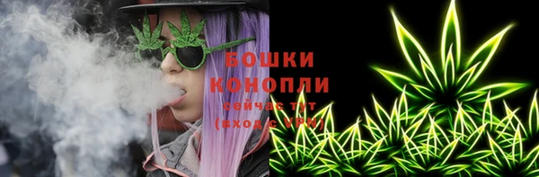 apvp Белокуриха