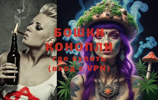 apvp Белокуриха