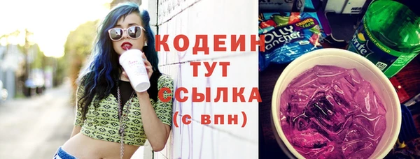apvp Белокуриха